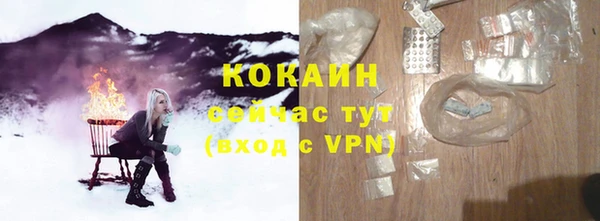 трава Кодинск