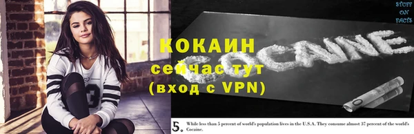 трава Кодинск