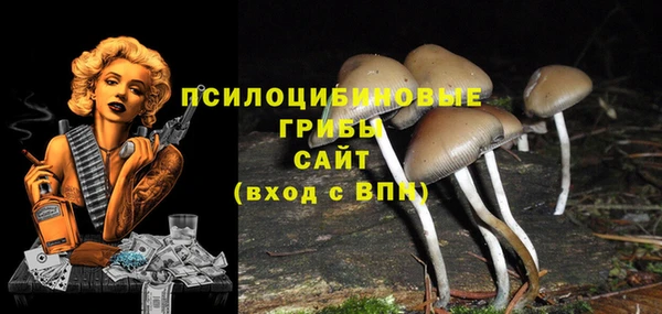 винт Козловка