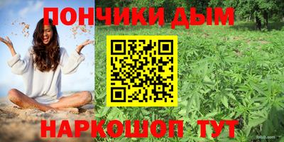 ГАЛЛЮЦИНОГЕННЫЕ ГРИБЫ Камышлов