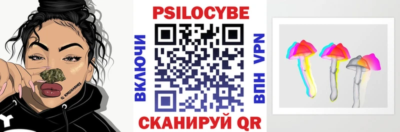 Галлюциногенные грибы Psilocybe  цена наркотик  Красный Сулин 