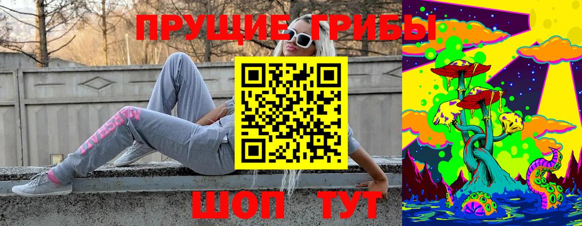 Псилоцибиновые грибы Psilocybe  где найти наркотики  Красный Сулин  Вход с VPN 